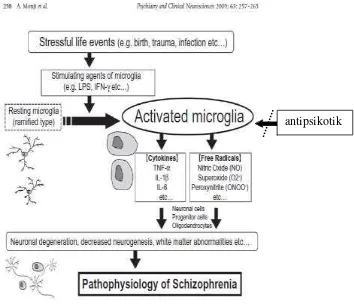 Gambar 4  Hipotesis Mikroglia pada Skizofrenia 