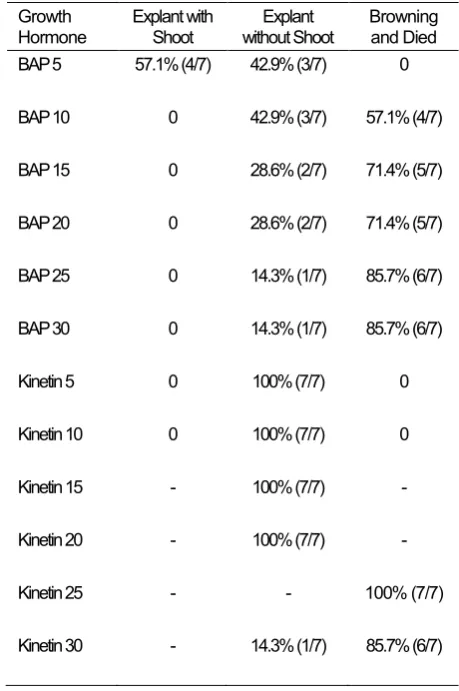 Figure 3. Shoot was developed on sago explants on BAP 3 ppm + NAA 4 ppm treatment  