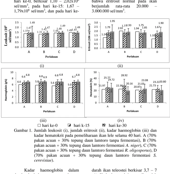Gambar 1.  Jumlah  leukosit  (i),  jumlah  eritrosit  (ii),  kadar  haemoglobin  (iii)  dan  kadar hematokrit pada pemeliharaan ikan lele selama 40 hari