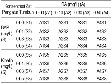 Tabel 1. Perlakuan Kombinasi Aksin (A): IBA dan Sitokinin (S): Kinetin, dan BAP  