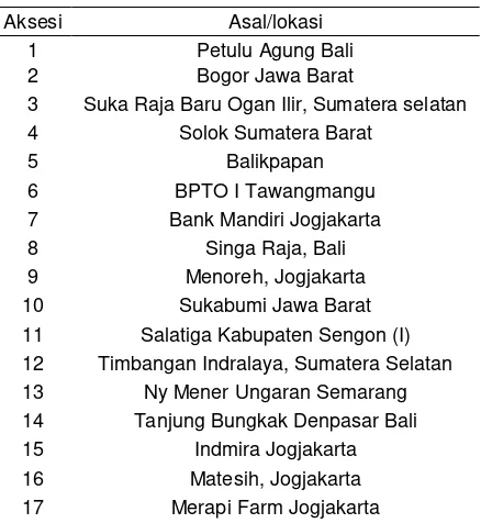 Tabel 1. Aksesi 17 Keladi tikus dari berbagai daerah di Indonesia  