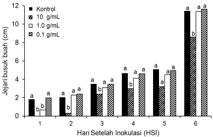 Gambar 4. Variasi konsentrasi biofungisida berbahan aktif T. asperellum untuk menekan busuk buah kakao secara in vivo 3-7 HIS 