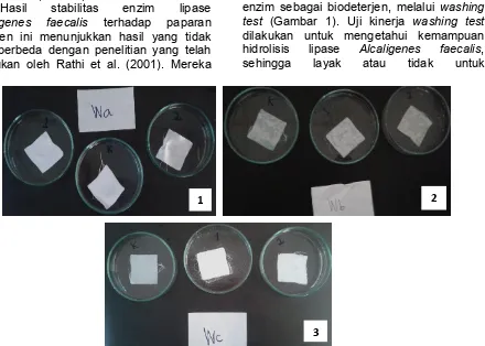 Tabel 1. Aktivitas lipase pada paparan deterjen berbagai konsentrasi  