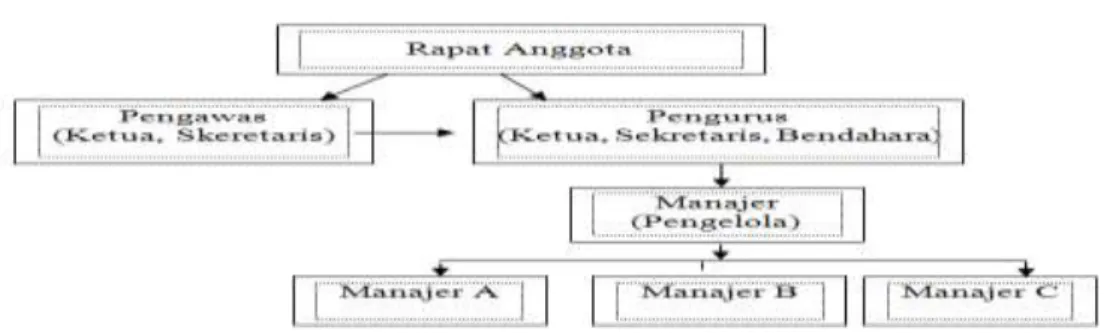 Tabel 1. Struktur Organisasi Koperasi 