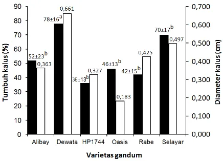 Gambar 1. Persentase pertumbuhan kalus () dan diameter kalus () dari beberapa varietas gandum di media MS+ 2,4-D 3 mg/L umur 2 minggu