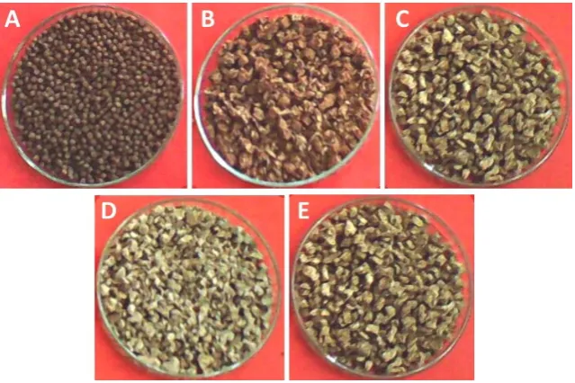 Figure 1. Commercial fish feed (A) and oven-dried fish feeds prepared by R. oryzae fermentation of CT-CB combined substrate mixed in different ratios of 100%:0% (B), 75%:25% (C), 50%:50% (D), and 25%:75% (E)