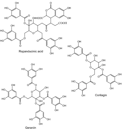 Gambar 7. Struktur senyawa golongan alkaloid dalam Phyllanthus 