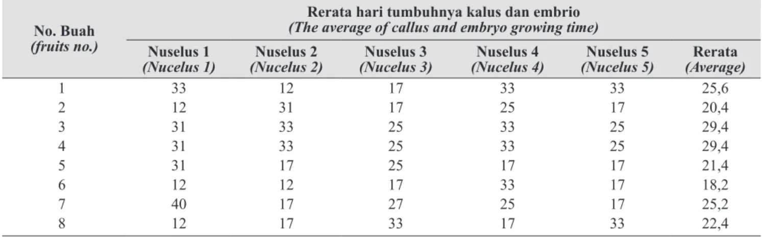 Gambar 3.  Direct embryo yang tumbuh pada  jaringan nuselus Kalamondin ( Direct  embryos that grow from a Kalamondin   nuselus tissue) 