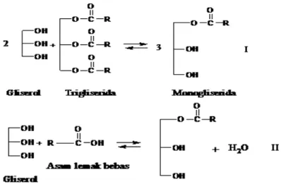 Gambar 2.4.  Reaksi untuk memproduksi monogliserida secara industri     kimia: (I) Transesterifikasi: gliserolisis dari trigliserida dengan  gliserol; (II) Esterifikasi langsung: gliserolisis dari asam lemak  dengan gliserol (Bossaert et al, 1999)