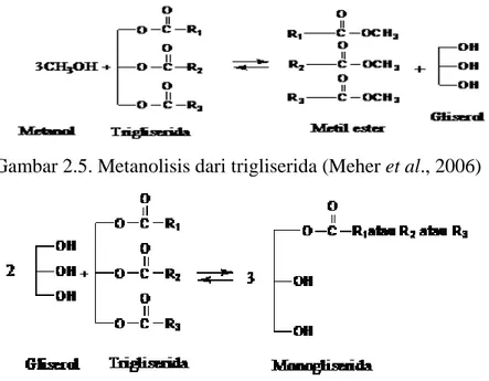 Gambar 2.5. Metanolisis dari trigliserida (Meher et al., 2006) 