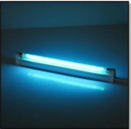 Gambar 2. 11 Lampu Ultraviolet-C Philips (8 Watt) 