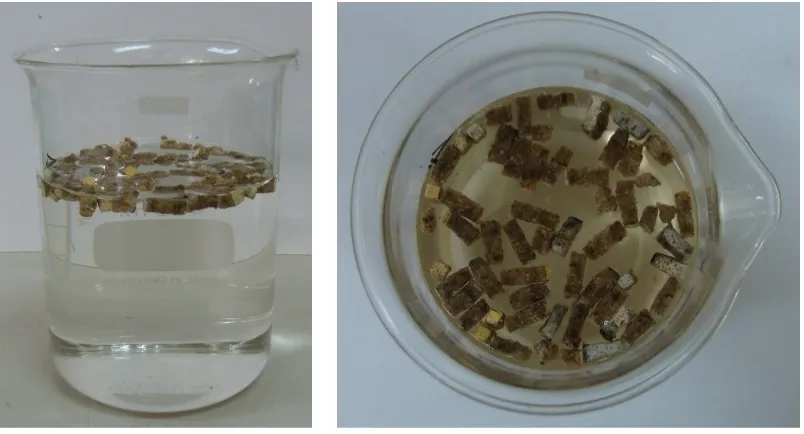 Gambar 2. Penampilan fisik pakan apung fermentasi (kiri) dan pakan apung komersial (kanan) dalam kemasan dengan berat masing-masing 100 g  