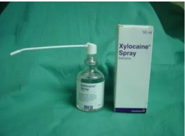 gambar 2.4. Xylocaine Spray 