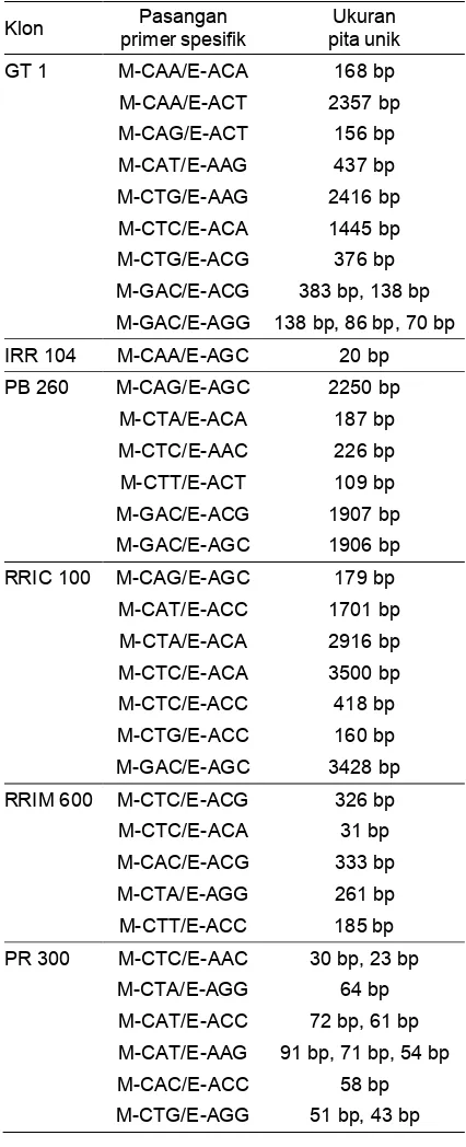 Tabel 3. Pasangan primer spesifik dan ukuran unik yang dihasilkan pada masing- masing klon  