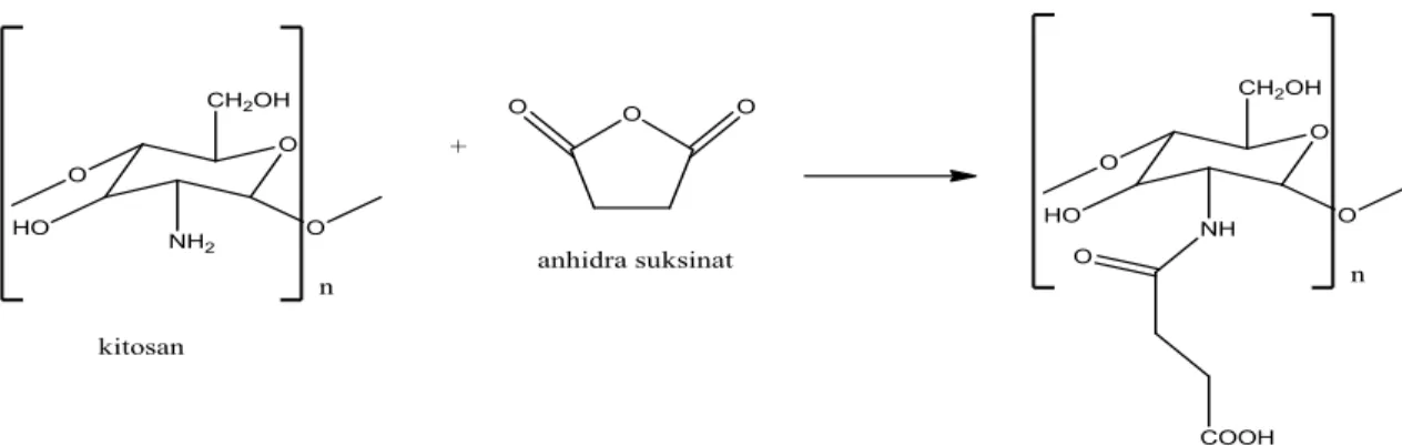 Gambar 2.3. Reaksi pembentukan N-suksinil kitosan (Kamoun, 2015) 