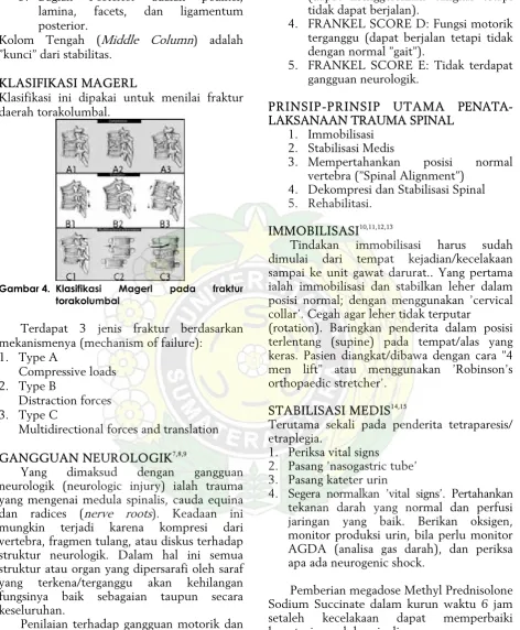 Gambar 4.  Klasifikasi 