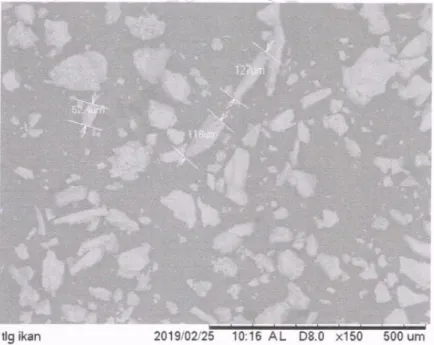 Gambar 4. Hasil Analisa SEM (Scanning Electron Microscopy) pada suhu 600 o C  c.  Analisa PSA 