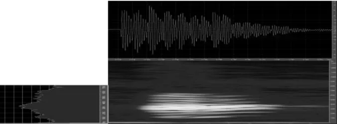 Gambar 5. Oscillograms, audiospectrogram dan energi frekuensi satu nada pulsa Hylarana nicobariensis asal  Batukaru, Bali  