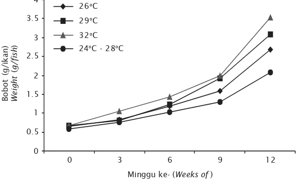 Gambar 1. Pertambahan bobot rata-rata individu ikan betutu pada setiapperlakuan selama 12 minggu pemeliharaanFigure 1.Average weight increment of sand goby fry during 12 weeksexperiment
