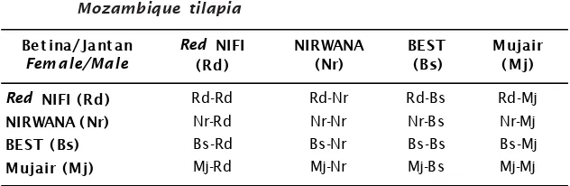 Table 1.Model crossing design of three strains of nile tilapia and 1 strain of