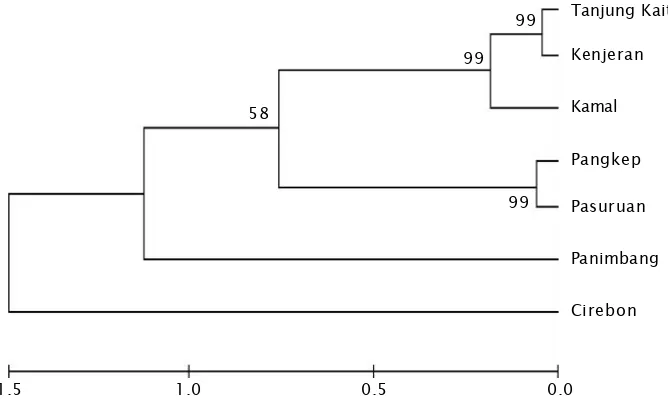 Tabel 2.Jarak genetik kerang hijau (Perna viridis) dari beberapa perairan di IndonesiaTable 2.Genetic distance among Perna viridis populations collected from Indonesia waters