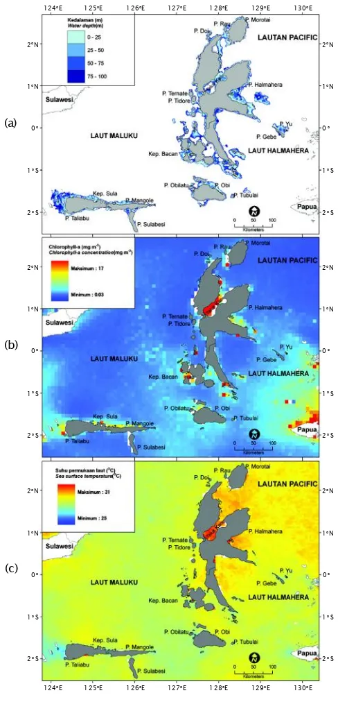 Gambar 3. Kondisi lingkungan perairan meliputi: (a) kedalaman (m), (b)chlorophyll-a (mg mFigure 3.-3), dan (c) suhu permukaan laut (oC) di ProvinsiMaluku UtaraParameters of environmental conditions: (a) water depth (m),(b) chlorophyll-a concentration (mg m-3), and (c) sea surfacetemperature (oC) in North Maluku Province