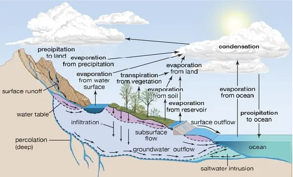 Gambar 2.1 Siklus Hidrologi  (sumber : www.ebiologi.net ) 