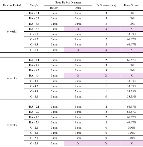 Table 1. Defect size on right mandible before (day 1) and after (healing period) *Highlighted column indicates that the rats were missing during care