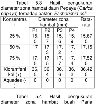 Tabel  5.3  Hasil  pengukuran  diameter zona hambat daun Pepaya (Carica 