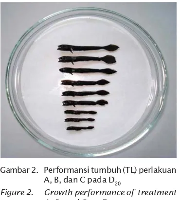 Gambar 2. Performansi tumbuh (TL) perlakuan