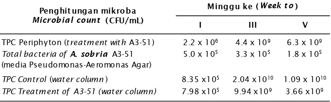 Tabel 2.Penghitungan total mikroba pada kolom air dan permukaan substrat bambuTable 2.Total microbial count in water column and substrate surface of bamboo