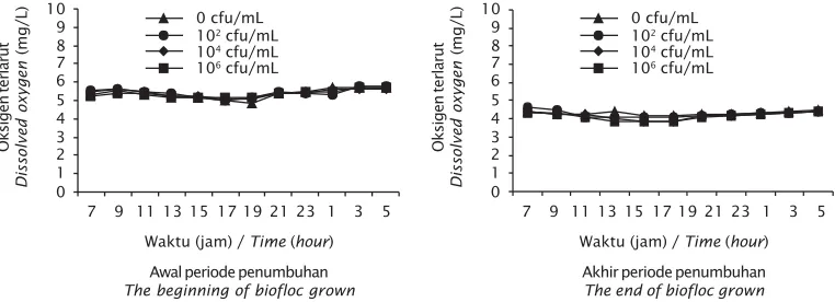 Gambar 3. Pola dinamika kadar nitrat dalam media budidaya selamapenelitianFigure 3.Dynamic pattern of nitrate level in the media during theexperiment