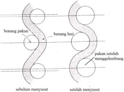 Gambar 2.8 Serat kain sebelun dan setelah menyusut (Lyle, 1982:356). 