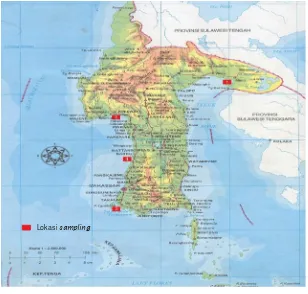 Gambar 1. Peta lokasi pengambilan sampel ikan beronang (S. guttatusFigure 1.)di Selat Makassar dan Teluk BoneLocations of Rabbitfish, Siganus guttatus sampling sites