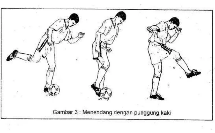 Gambar 2.3. Menendang dengan Punggung Kaki Sumber: Sucipto dkk, (2000: 20) 