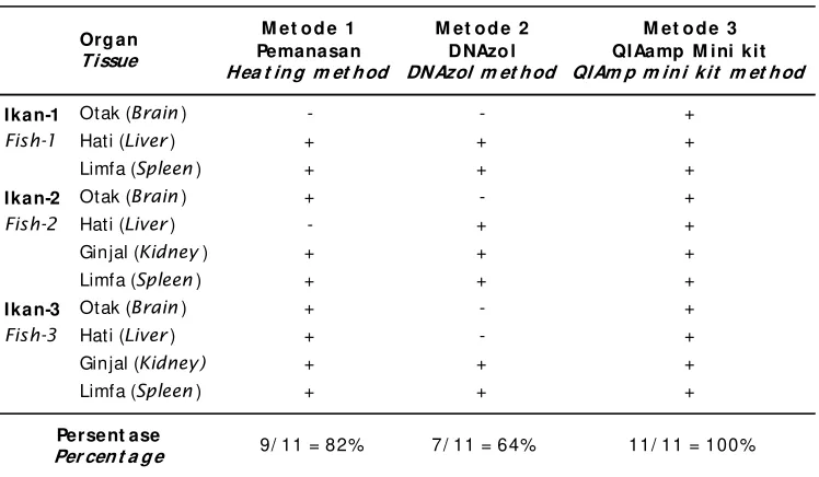 Table 1.PCR test of Streptococcus agalactiae DNA from nile tilapia organ tissues by