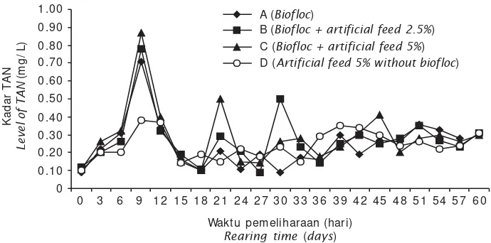 Gambar 1. Pola dinamika amonia nitrogen total (TAN) dalam media budidayaFigure 1.Dynamic pattern of total ammonium nitrogen (TAN) in the rearing media