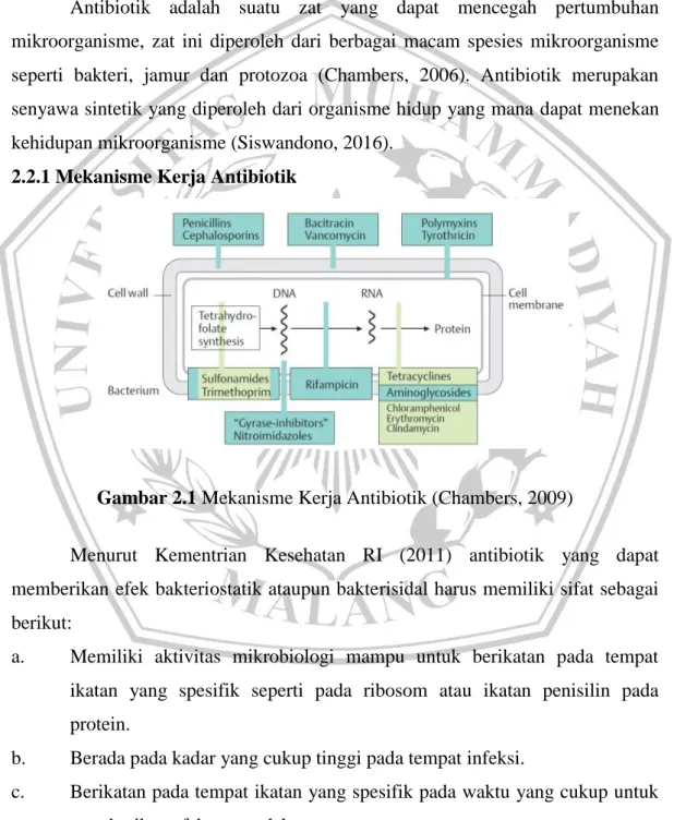 Gambar 2.1 Mekanisme Kerja Antibiotik (Chambers, 2009) 