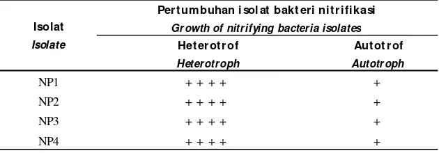 Tabel 2.Morfologi dan karakteristikkoloni isolat bakteri nitrifikasi dan denitrifikasi yang terpilihTable 2.Morphology and characteristic  of selected isolates of nitrifying  and denitrifying bacteria