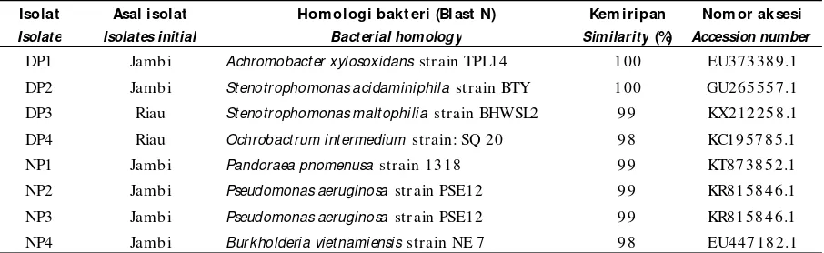 Tabel 5.Hasil BLAST N dari sekuen 16SrRNATable 5.BLASTN results from 16S rRNA sequence