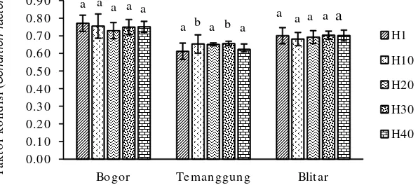 Gambar 3.Sintasan ikan uceng asal Bogor, Temanggung, dan Blitar selama 40hari pemeliharaan.Figure 3.Survival rate of Nemacheilus fasciatus from Bogor, Temanggung, andBlitar during 40 days of rearing.
