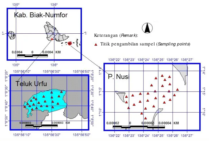 Gambar 1.Lokasi penelitian dan sebaran titik pengambilan sampel.Figure 1.Study area and distribution of sampling points.