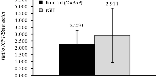 Gambar 2.Amplifikasi keberadaan gen IGF-1dan gen Figure 2.-aktin padaorgan hati benih ikan botia (M=  marker, (A1-A3)=  kontrol,(D1-D3)=  kombinasi pemberian rGH melalui perendamandan oral).Amplification of IGF-1 gene and -actin gene presence in liverorgans of clown loach juvenile (M=  marker, (A1-A3)=  con-trol, (D1-D3)=  combination of rGH administration throughimmersion and oral).