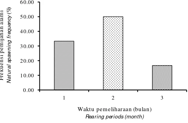 Gambar 2.Frekuensi pemijahan alami ikan belida.Figure 2.Natural spawning frequency of Clown Knifefish.