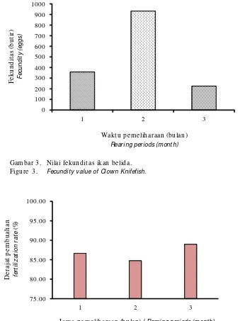 Gambar 4.Nilai derajat pembuahan ikan belida hasil pemijahan alami.Figure 4.Value of fertilization rate of natural spawning of Clown Knifefish.