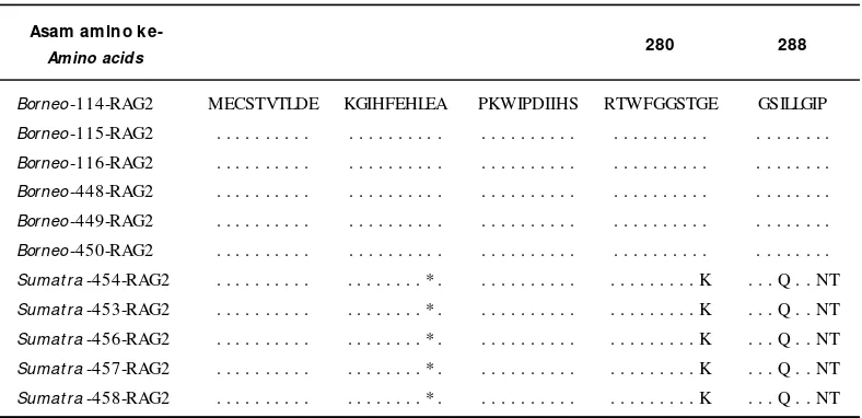 Tabel 4.Mutasi nukelotida gen RAG2 ikan tiger fish populasi Kalimantan dan SumateraTable 4.Mutation of nucleotides RAG2 gene of tigerfish fish population Kalimantan and Sumatra