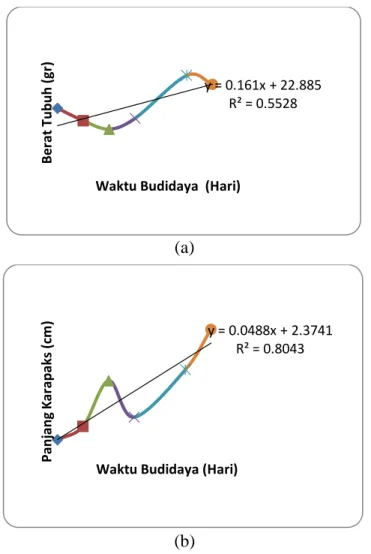 Gambar 3. Kenaikan berat (a) dan panjang karapaks (b) lobster kompartemen tipe A  Figure 3.The weight (a) and carapace length (b) increase of the lobsters in fixed seacage type A 