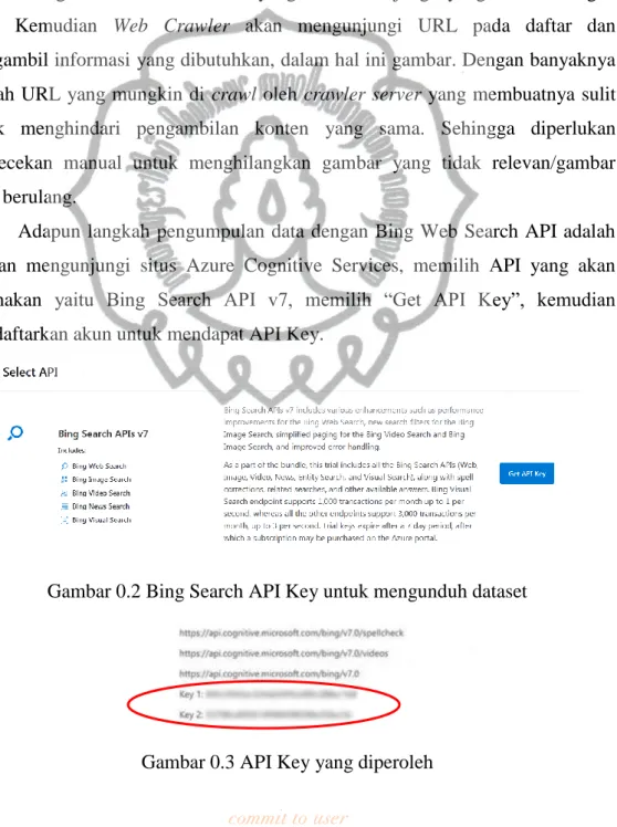 Gambar 0.2 Bing Search API Key untuk mengunduh dataset 