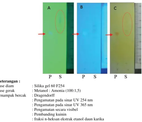 Gambar  2.  Hasil  identifikasi  senyawa  alkaloid  dari  fraksi  n-heksan  ekstrak  etanol  daun  karika 