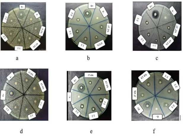 Gambar 1. Daya hambat sampel terhadap Escherichia coli ATCC 25922  